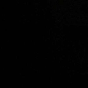 Meet your Posher, Bailey