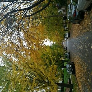 Meet your Posher, Becky