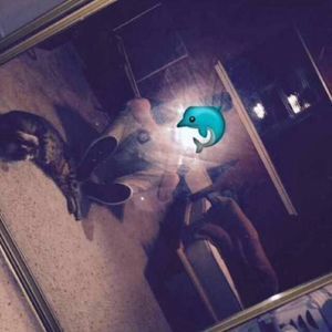 Meet your Posher, Kyle