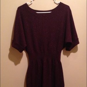 Express sweater dress