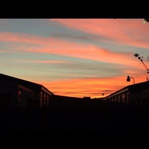 Meet your Posher, Dalia