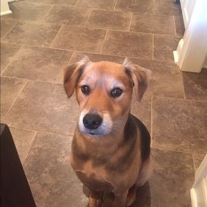 Meet your Posher, Stacy