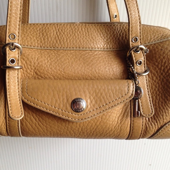 Purse brown fossil