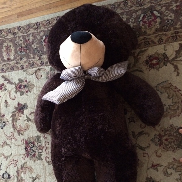 Giant teddy bear new