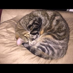 Meet your Posher, Michelle