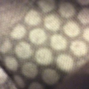 Meet your Posher, Jake