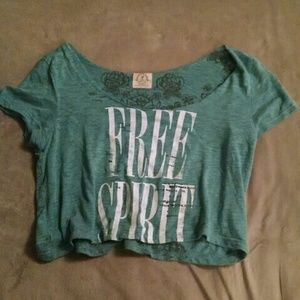 Cropped American eagle shirt