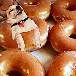 Meet your Posher, Roxana