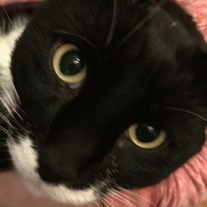 Meet your Posher, Phil