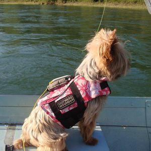 Meet your Posher, Debbie