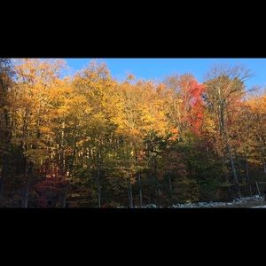 Meet your Posher, Jesus