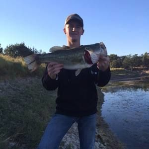 Meet your Posher, Brady