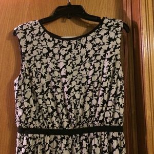 NWOT Loft Dress
