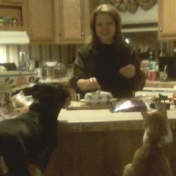 Meet your Posher, Shelley