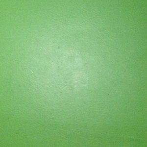 Meet your Posher, Sally