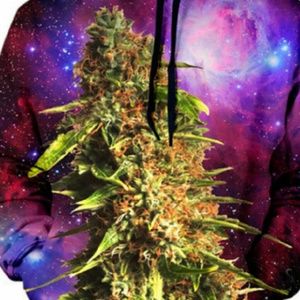 Meet your Posher, Clyde