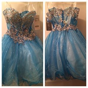 Prom Dress , Ball Dress