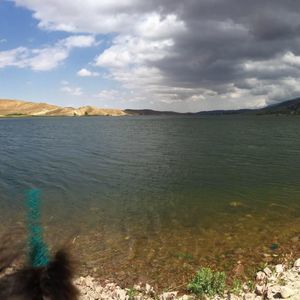 Meet your Posher, Ana