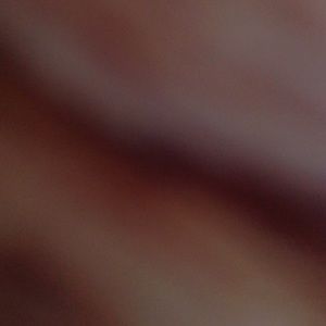 Meet your Posher, Timmy