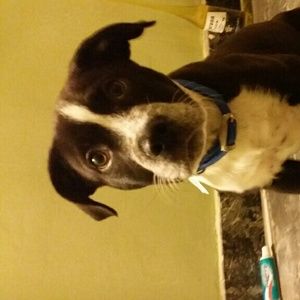 Meet your Posher, Omar