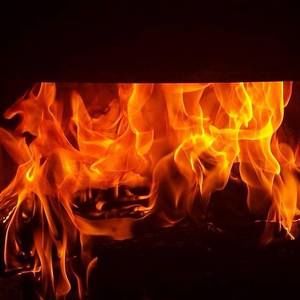 Meet your Posher, Roni