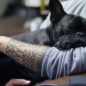 Meet your Posher, Loraine