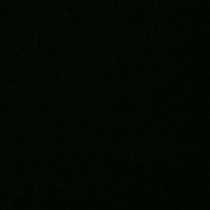 Meet your Posher, Monique