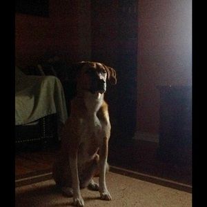 Meet your Posher, Caroline