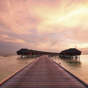 Meet your Posher, Rayisha