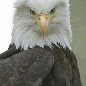 Meet your Posher, Tom