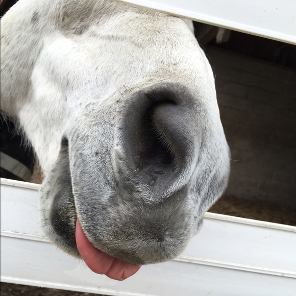 Meet your Posher, Kerstin - Picture 3 of 4