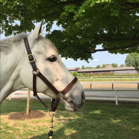 Meet your Posher, Kerstin - Picture 4 of 4