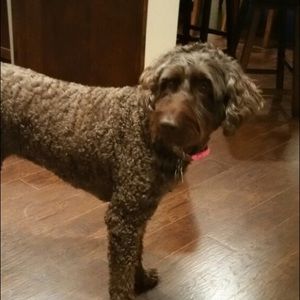 Meet your Posher, Mary