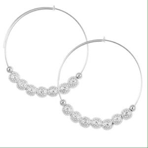 Sale! Alex + Ani Earrings