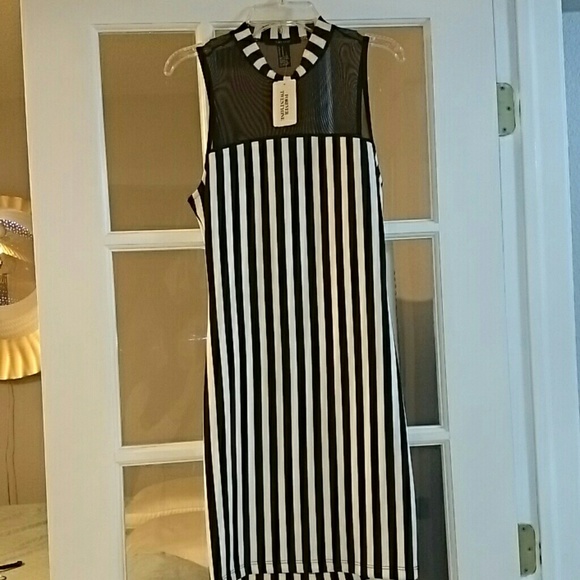 Small - Picture 1 of 1