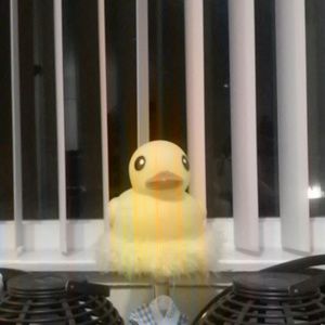 Meet your Posher, Isaac