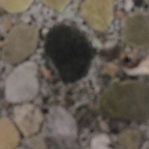 Meet your Posher, Louise