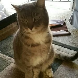 Meet your Posher, Jesus