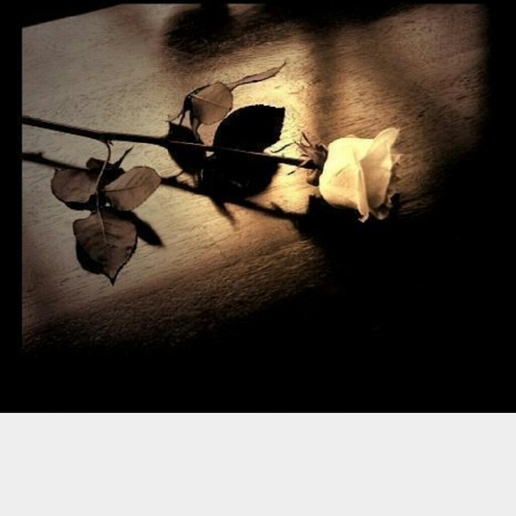 Meet your Posher, Selene