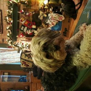 Meet your Posher, Karen