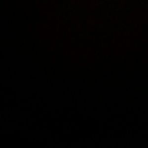 Meet your Posher, Daisy