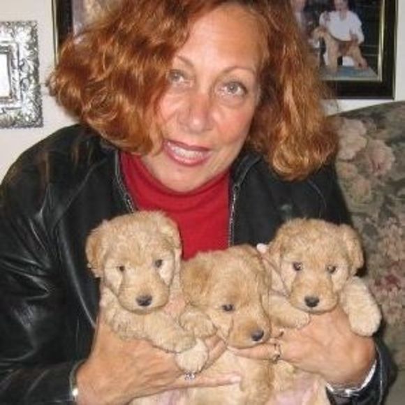 Meet your Posher, Mannette - Picture 1 of 1