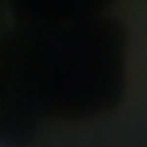 Meet your Posher, Augusta