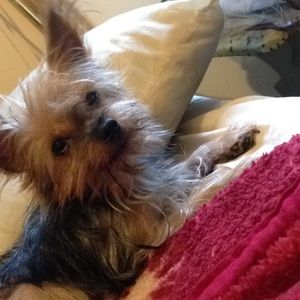 Meet your Posher, Traci