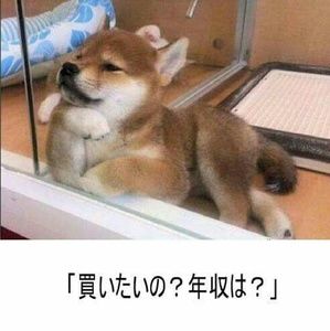 Meet your Posher, Ayano