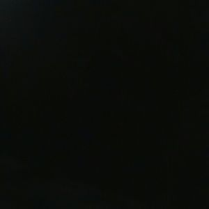 Meet your Posher, Dawson