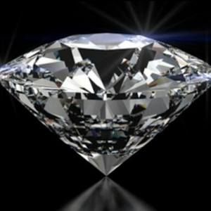 Meet your Posher, Willy