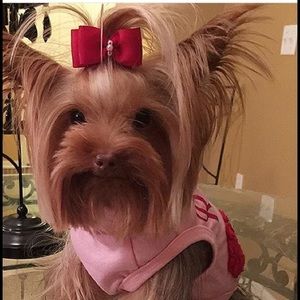 Meet your Posher, Bria