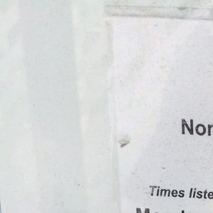 Meet your Posher, Darlene