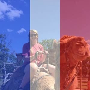 Meet your Posher, Allison